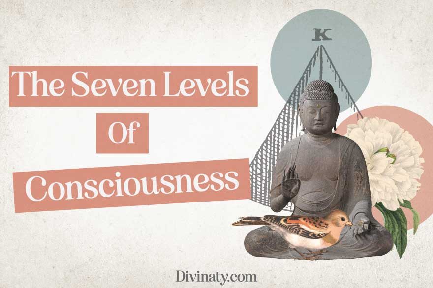 the seven levels of consciousness